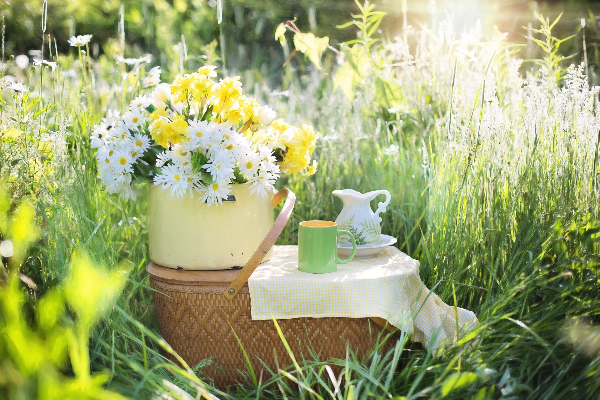 Picknick im Grünen