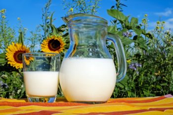 ein Glas Milch mit Glaskaraffe vor Sonnenblumen