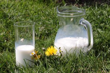 Glas Milch mit Glaskaraffe auf der Wiese